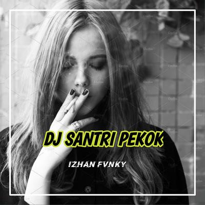 DJ Jere Bapake Aku Koyok Santri Pekok (Santri Pekok)'s cover