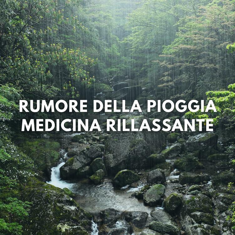 Rumore di Pioggia di TraxLab's avatar image