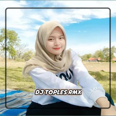 DJ TOPLES RMX's cover