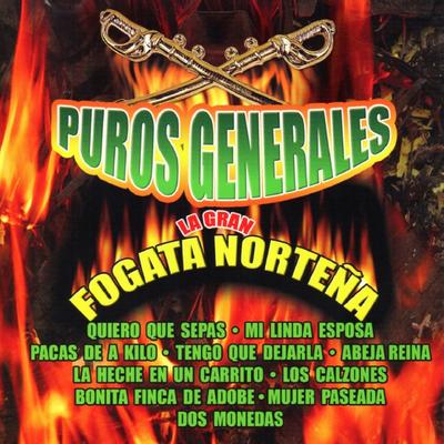 Puros Generales's cover