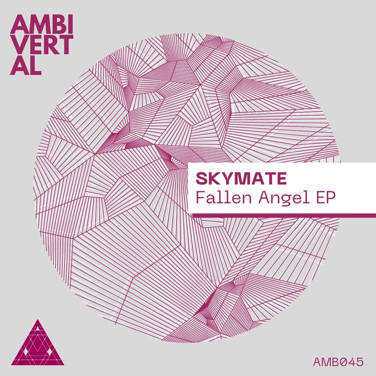 Skymate's avatar image