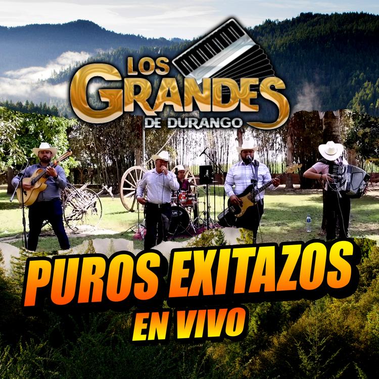 Los Grandes De Durango's avatar image