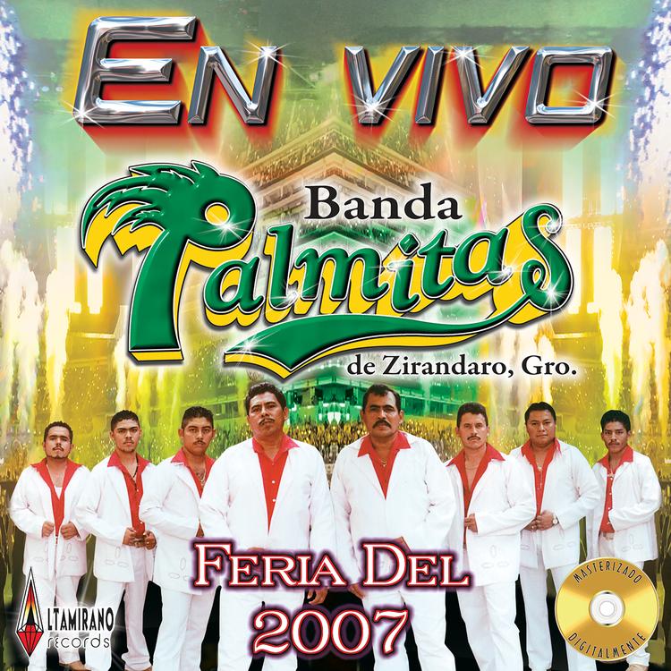 Banda Las Palmitas De Zirandaro Guerrero's avatar image