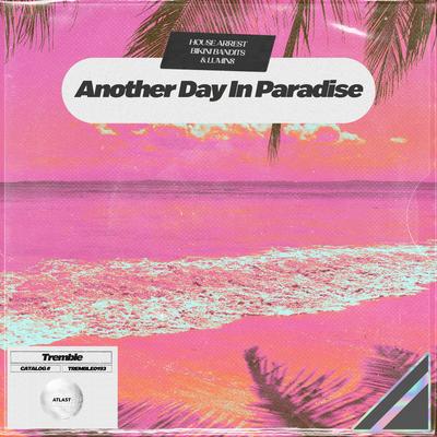 Another Day In Paradise's cover