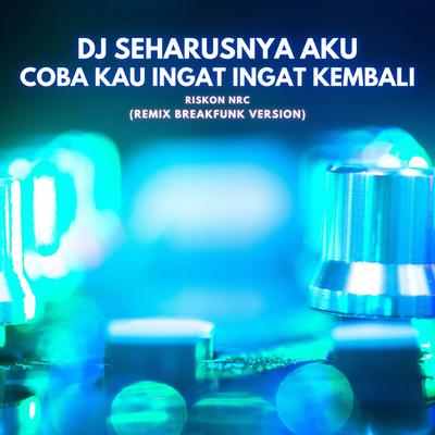 DJ Coba kau ingat ingat kembali's cover