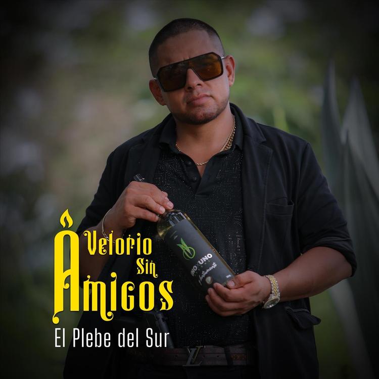 El Plebe del Sur's avatar image