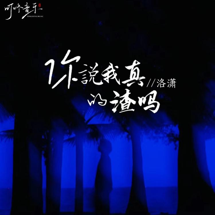 洛潇's avatar image