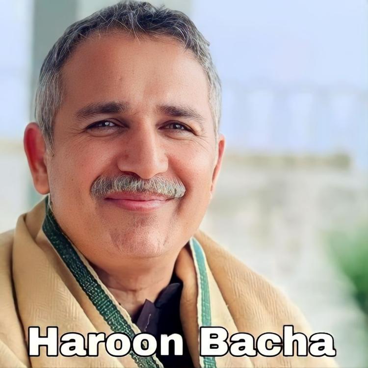 Haroon Bacha's avatar image