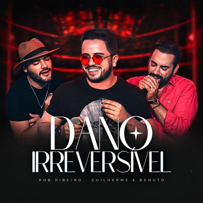 Dano Irreversível's cover