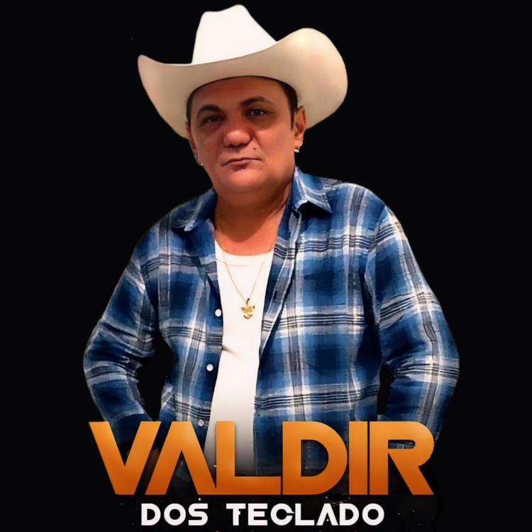 Valdir dos Teclados's avatar image