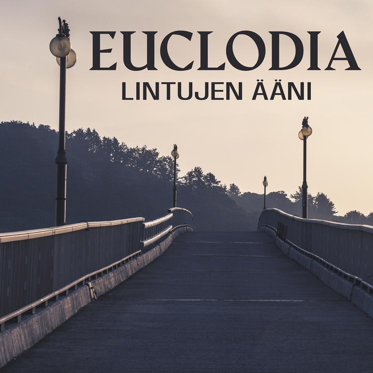 Euclodia's avatar image
