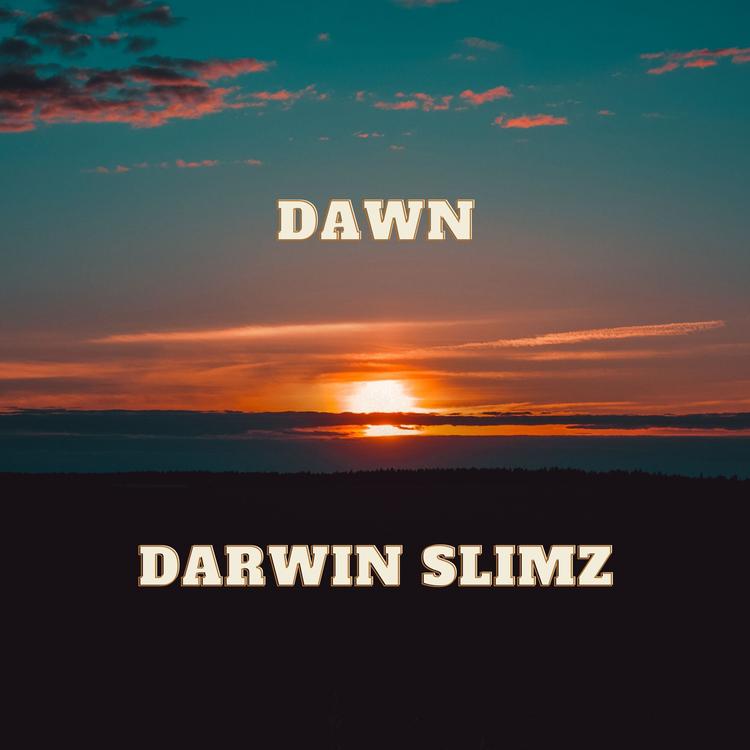 Darwin Slimz's avatar image