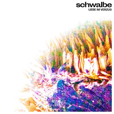 Schwalbe's cover