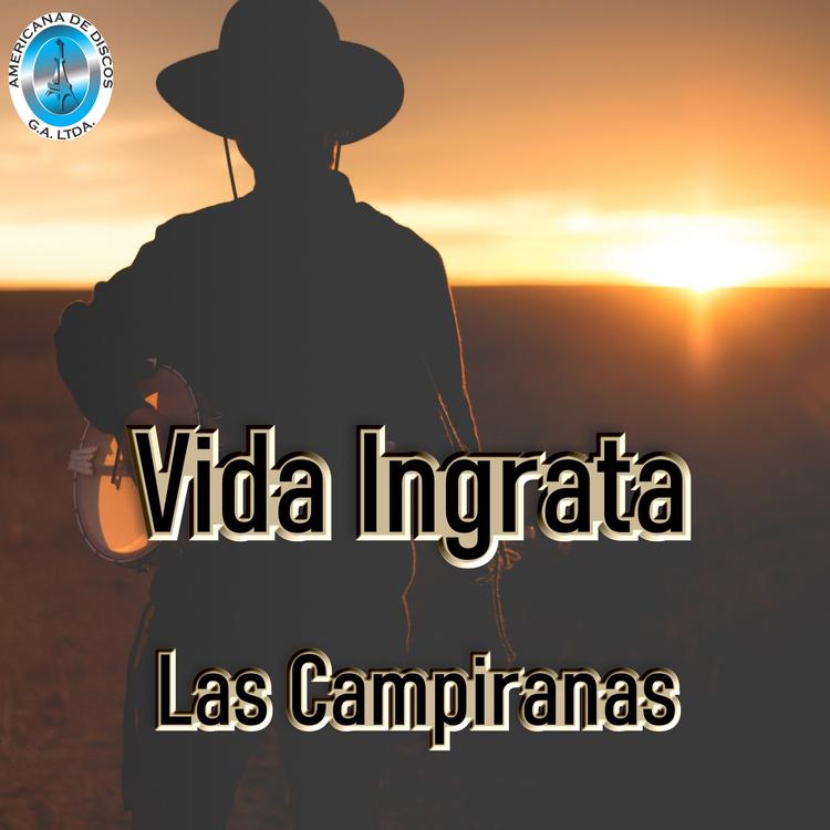 Las Campiranas's avatar image