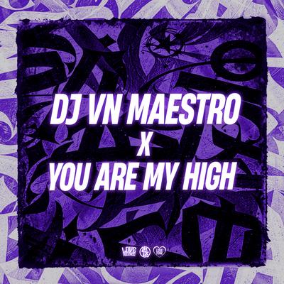 Dj Vn Maestro X You Are My High's cover