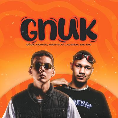 Gnuk's cover