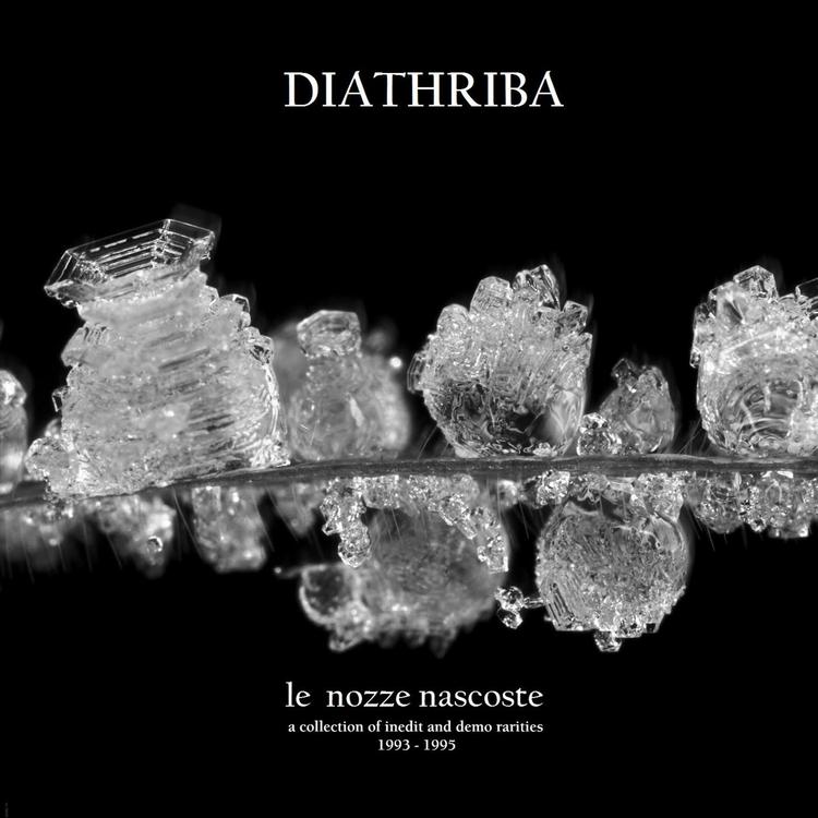 Diathriba's avatar image
