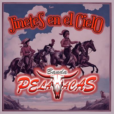 Banda Pelavacas's cover