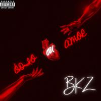 The BKZ's avatar cover