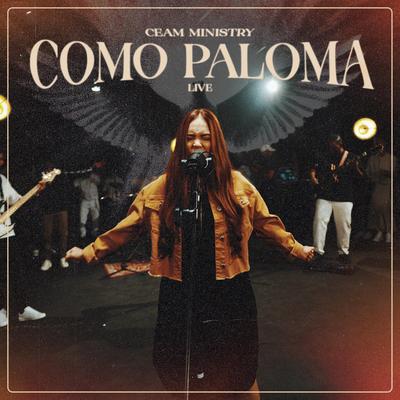 Como Paloma (Live)'s cover