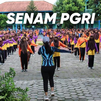 SENAM PGRI ( Remix Version )'s cover
