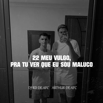 22 MEU VULGO, Pra Tu Ver Que Eu Sou Maluco's cover