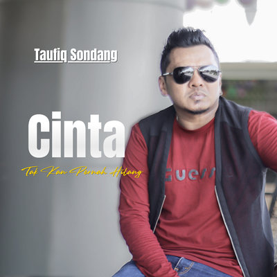 Cinta Tak Pernah Hilang's cover