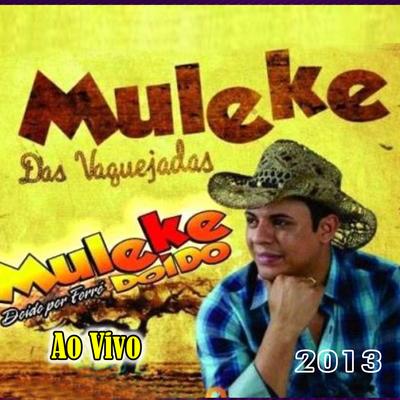 Muleke das Vaquejadas - Ao Vivo 2013's cover