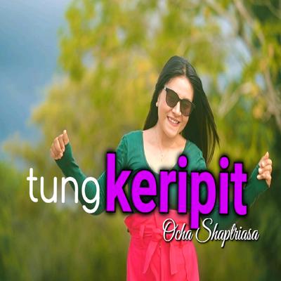 Tung Keripit's cover