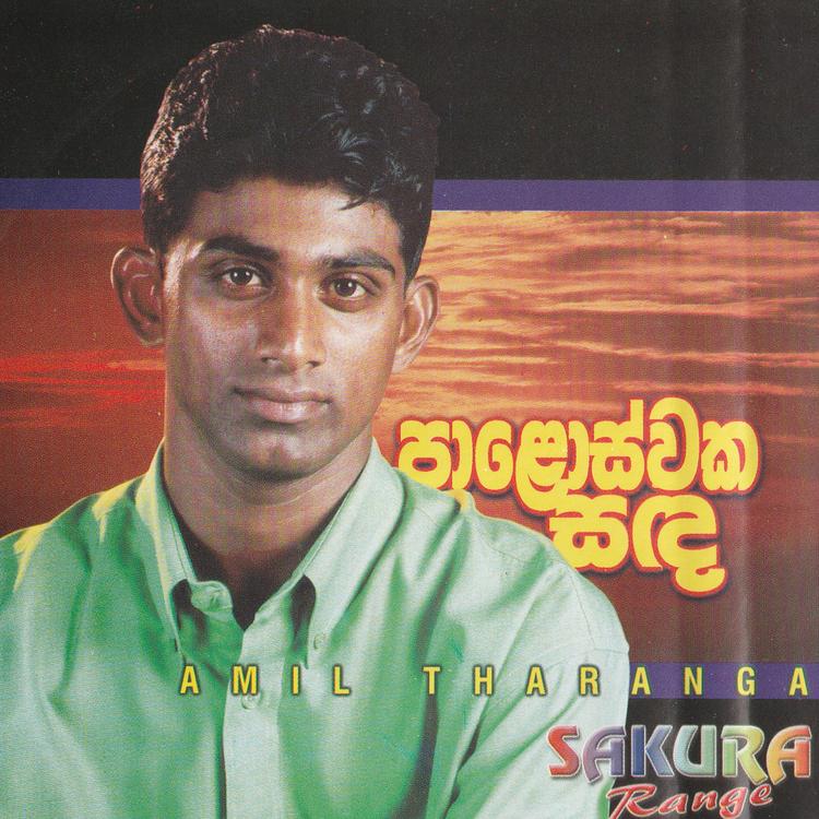 Amil Tharanga's avatar image