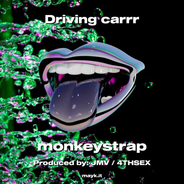 monkeystrap's avatar image