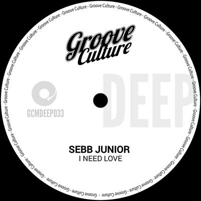 Sebb Junior's cover