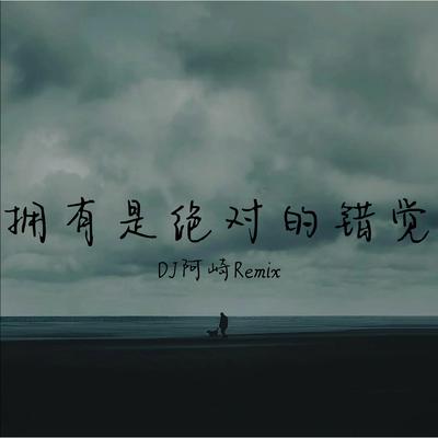 拥有是绝对的错觉's cover