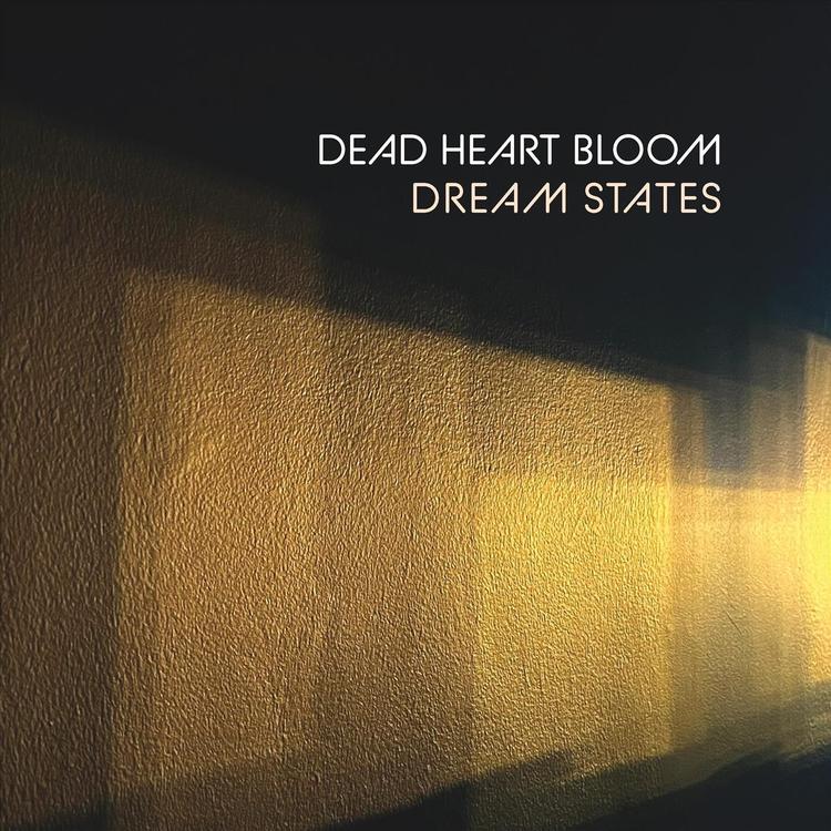 Dead Heart Bloom's avatar image