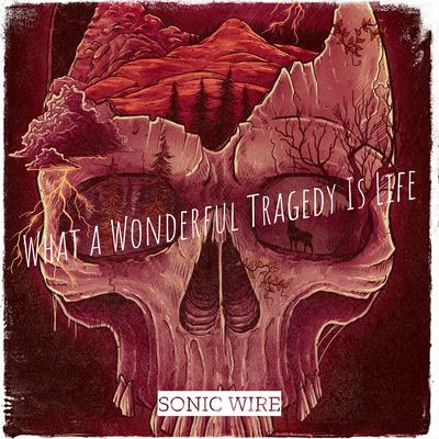 Sonic Wire's cover