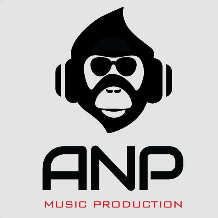 Anp Music Production's avatar image