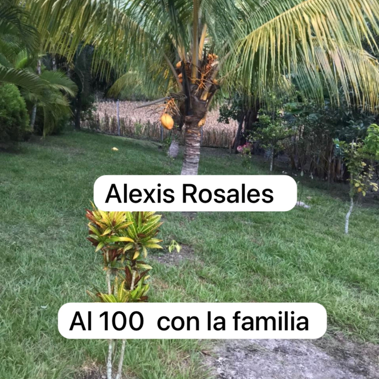 Alexis Rosales's avatar image