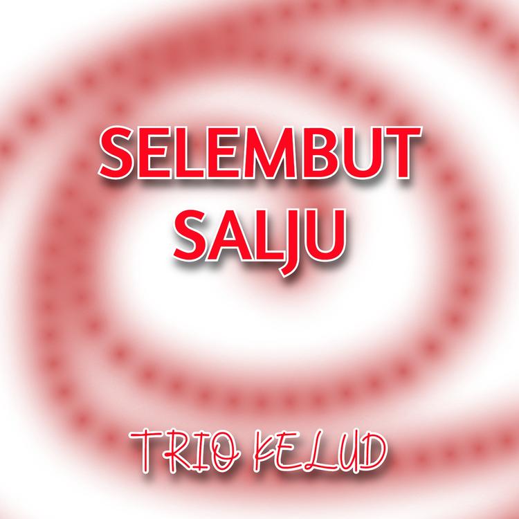 TRIO KELUD's avatar image