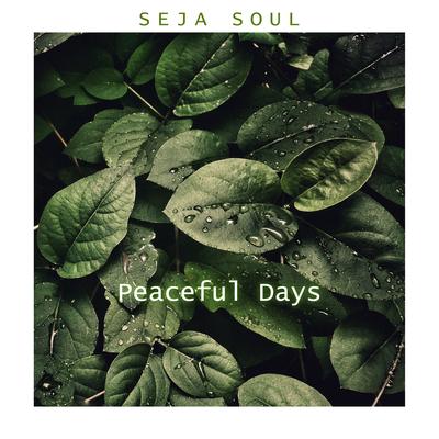 Despertar By Seja Soul's cover