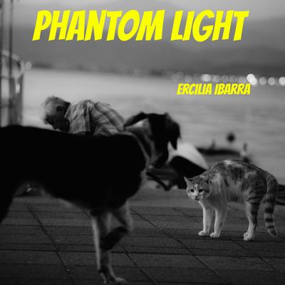 Phantom Light's cover