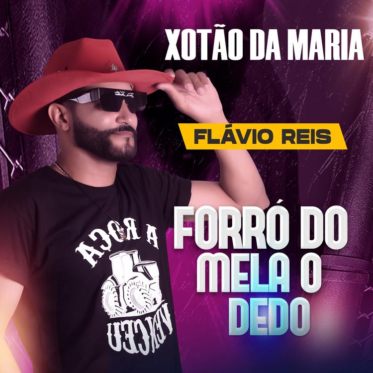 Flávio Reis's avatar image