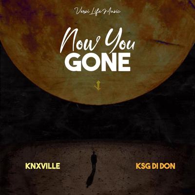 Now You Gone's cover