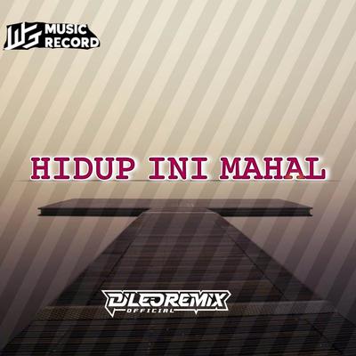 Hidup Ini Mahal  (Remix )'s cover