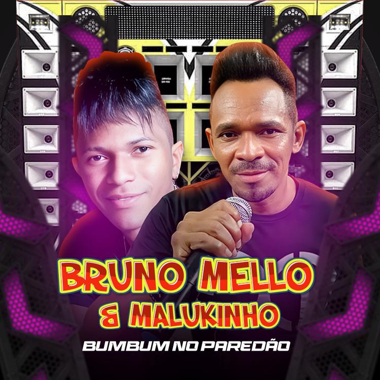BRUNO MELLO & MALUKINHO's avatar image