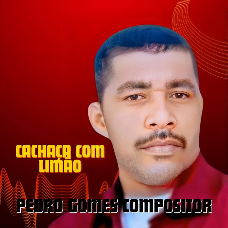 Pedro Gomes Compositor's avatar image