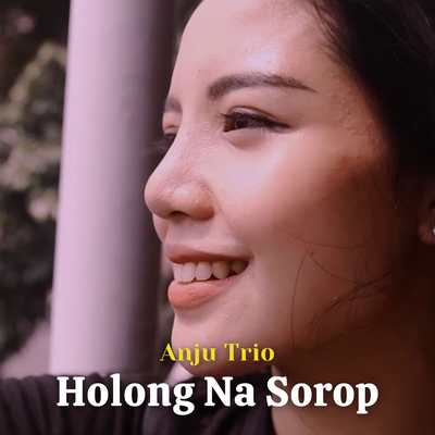Holong Na Sorop's cover