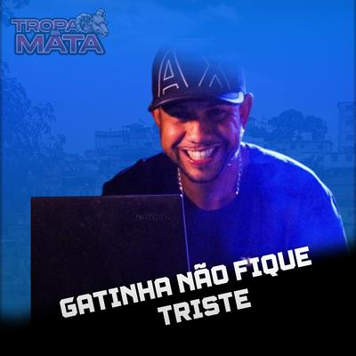 Gatinha não fique triste's cover