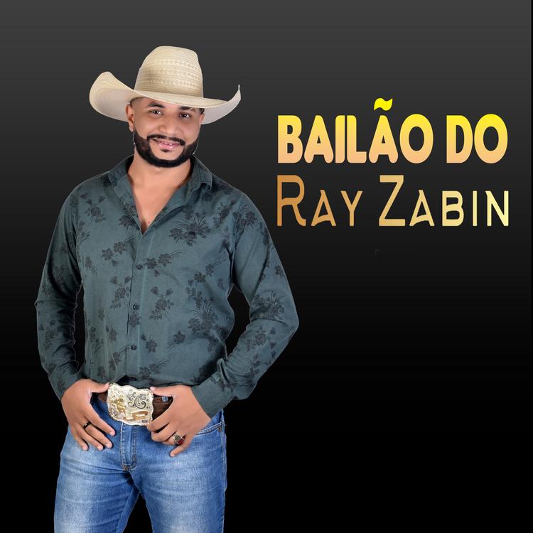Ray Zabin's avatar image