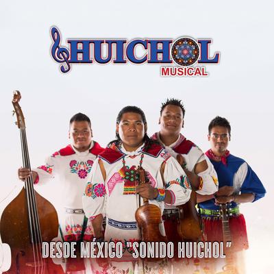 Desde México "Sonido Huichol"'s cover