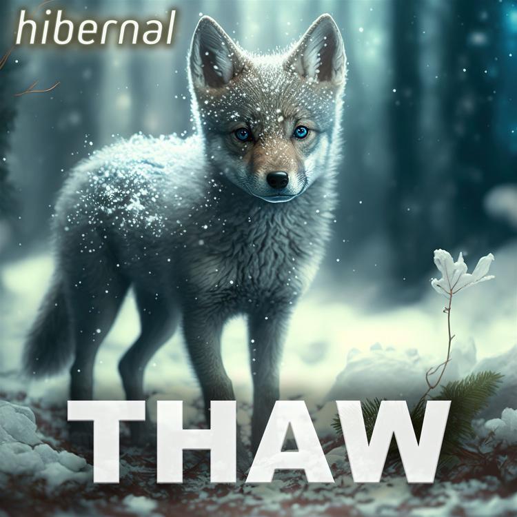 Hibernal's avatar image